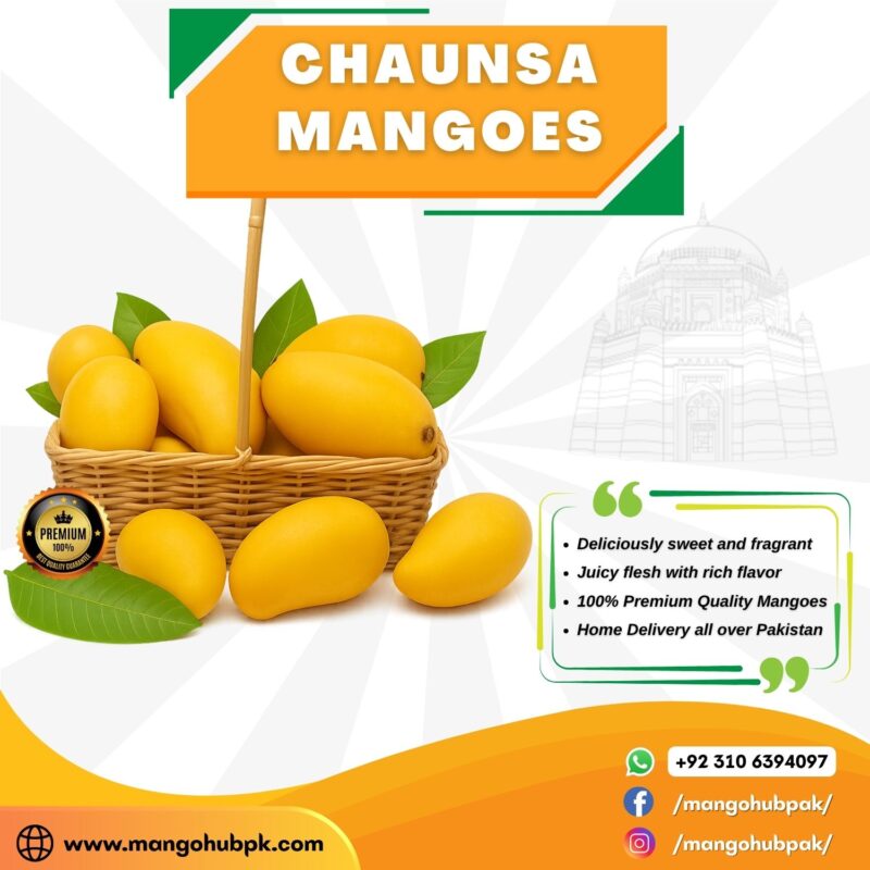 Multani Chaunsa - 5KG - Image 3