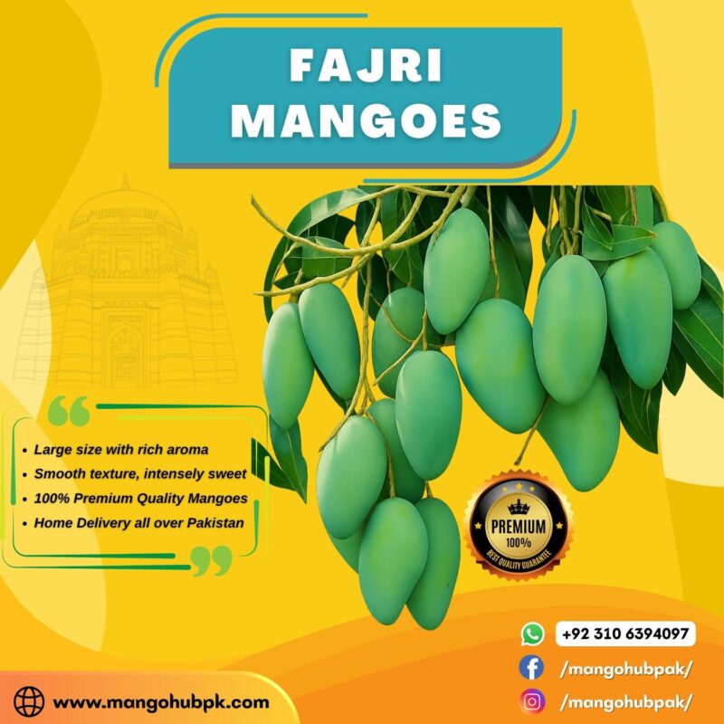 Fajri - 10KG