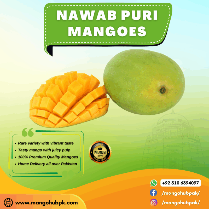 Nawab Puri - 5KG