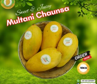 Multani Chaunsa – 10KG
