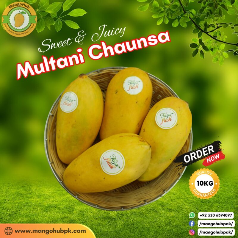 Multani Chaunsa – 10KG