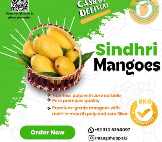 Sindhri - 8KG