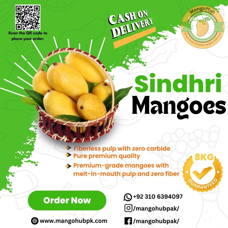 Sindhri - 8KG