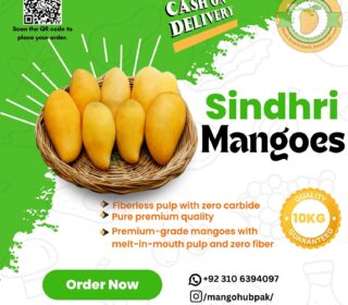 Mango Packing 10KG