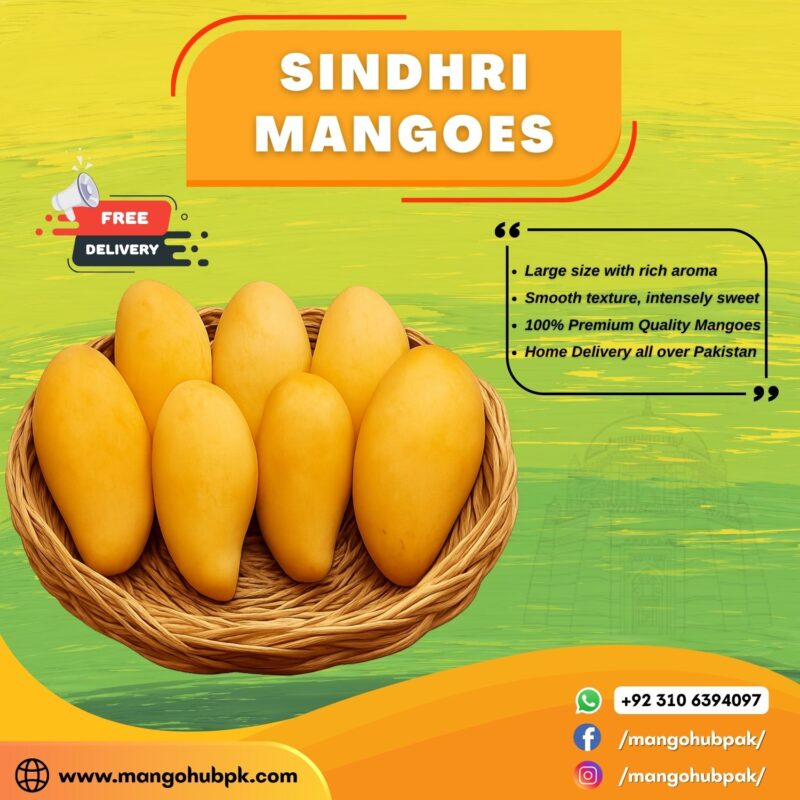 Sindhri - 8KG - Image 3